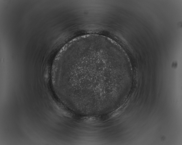 X0000095510074200801041210