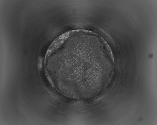 X0000095510075200801041210