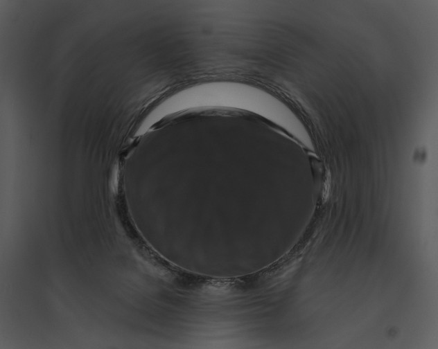 X0000095510076200801041210