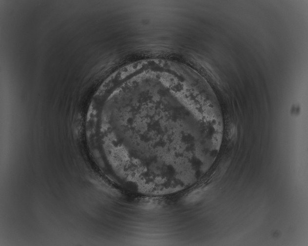 X0000095510077200801041210