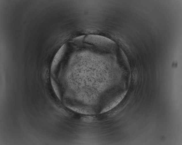 X0000095510079200801041210