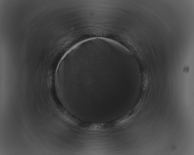 X0000095510080200801041210