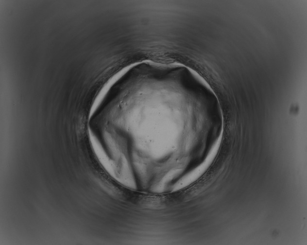 X0000095510081200801041210