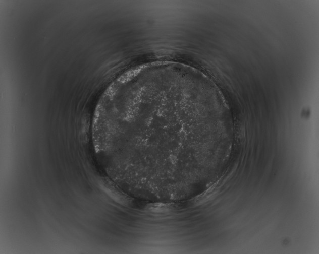 X0000095510082200801041210