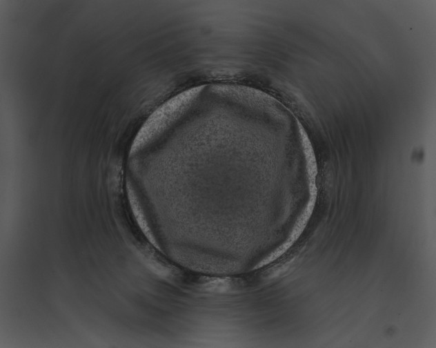 X0000095510083200801041210