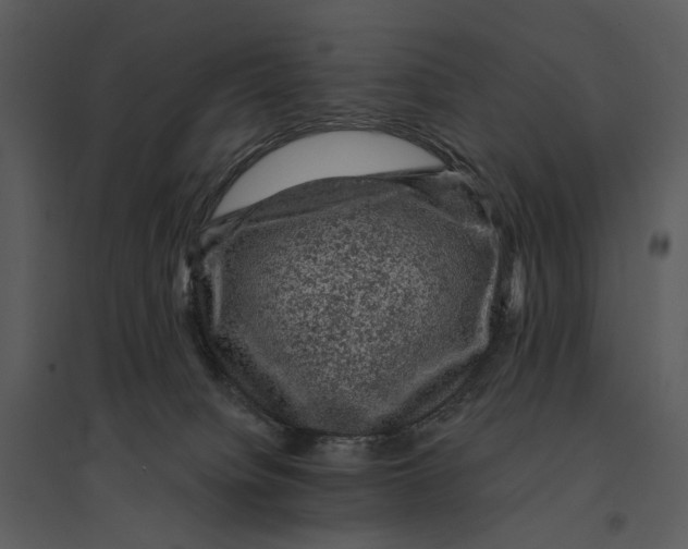 X0000095510084200801041210