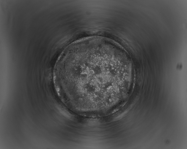 X0000095510085200801041210