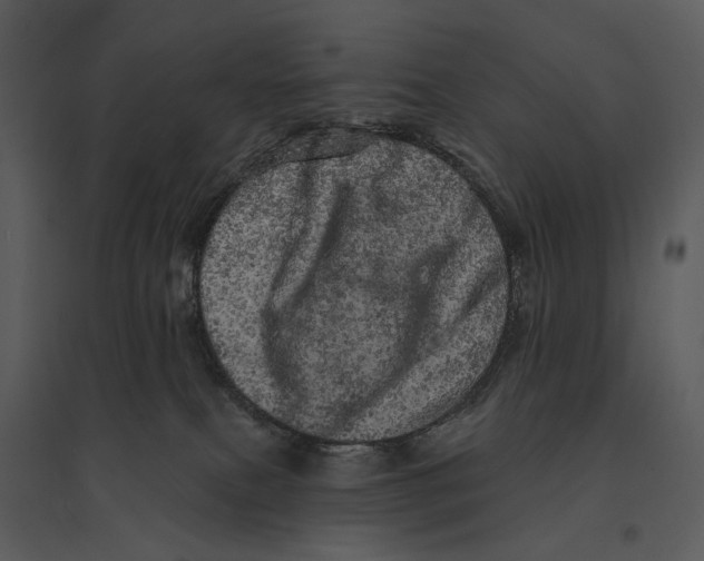 X0000095510087200801041210