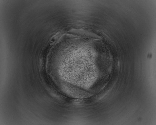 X0000095510088200801041210