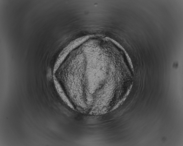 X0000095510089200801041210