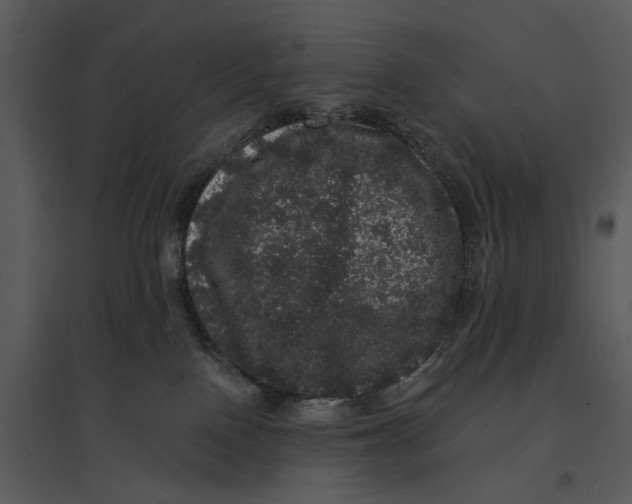 X0000095510090200801041210