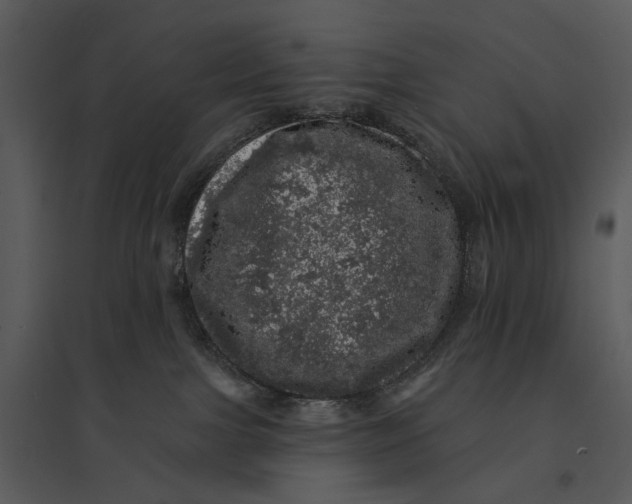 X0000095510091200801041210