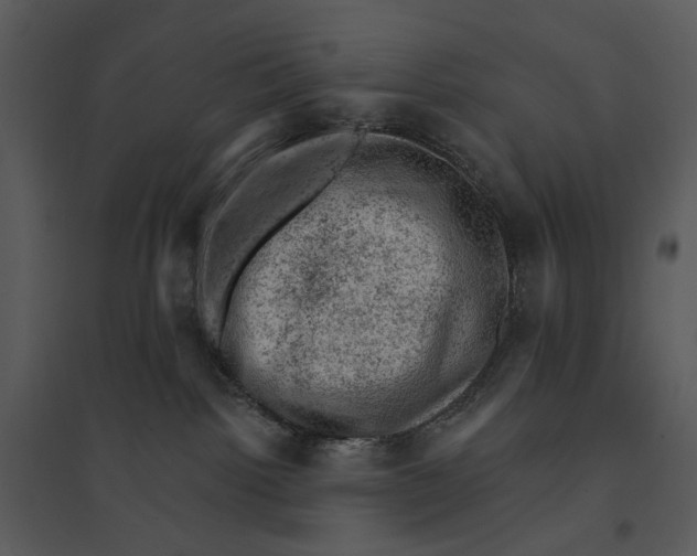 X0000095510092200801041210