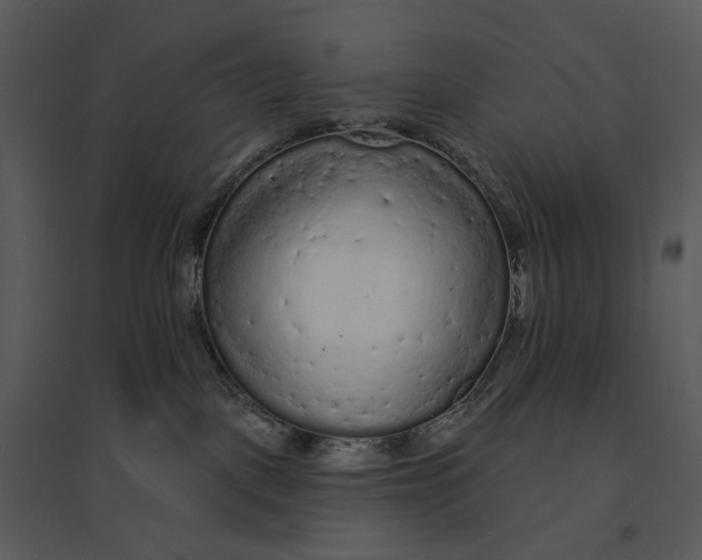 X0000095510093200801041210