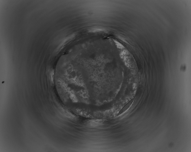 X0000095510094200801041210