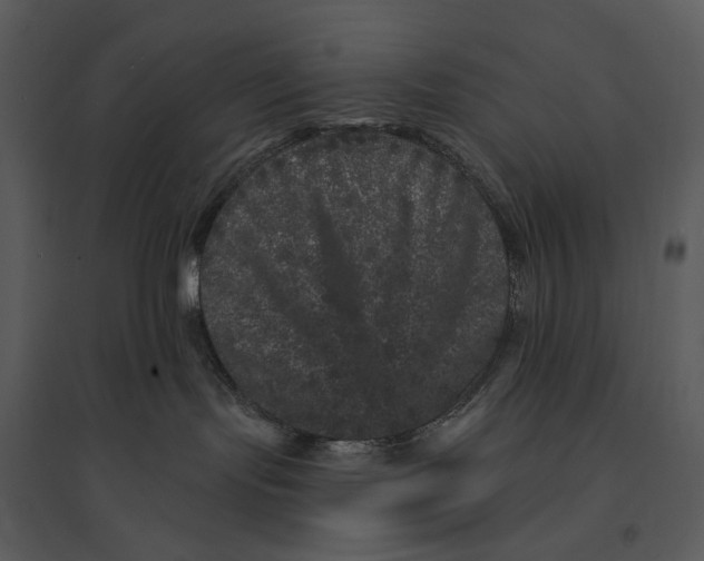 X0000095510095200801041210