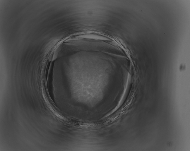 X0000095510097200801041209