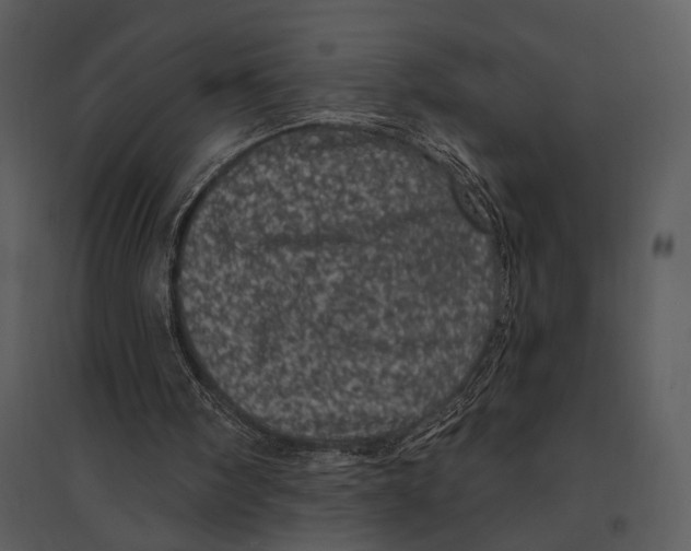 X0000095510098200801041209