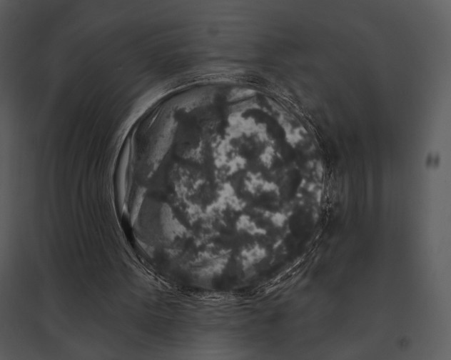 X0000095510099200801041209