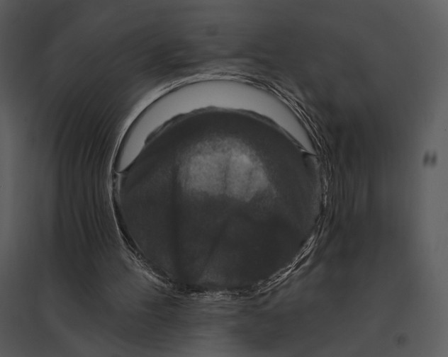 X0000095510100200801041209