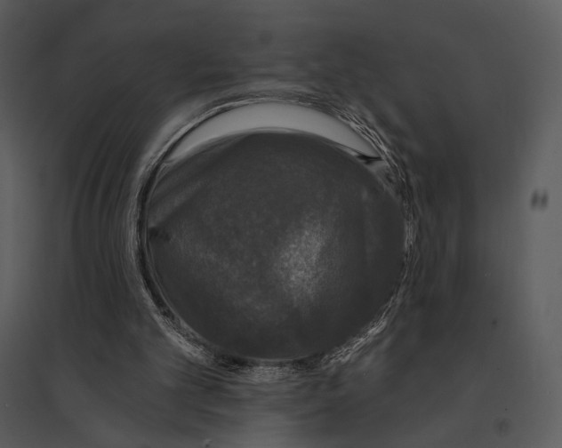 X0000095510101200801041209