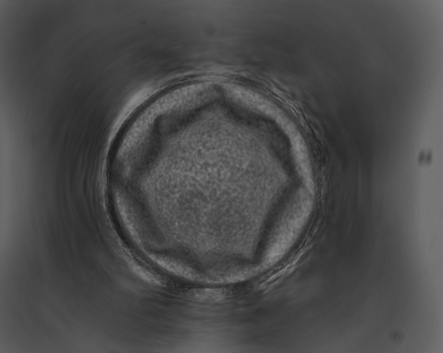 X0000095510102200801041209