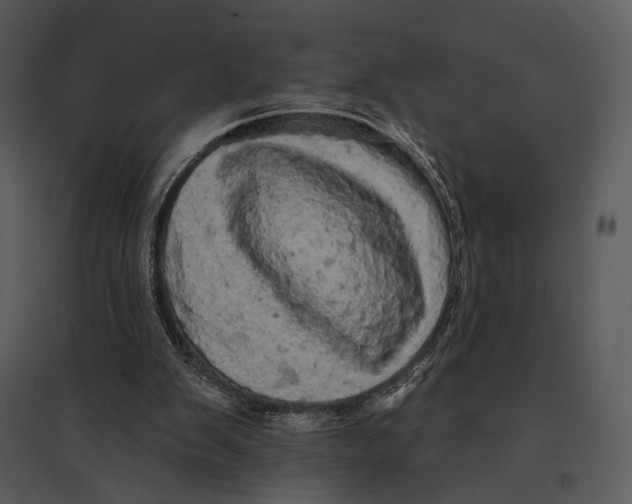 X0000095510103200801041209