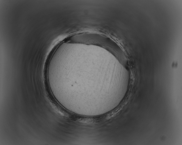 X0000095510104200801041209