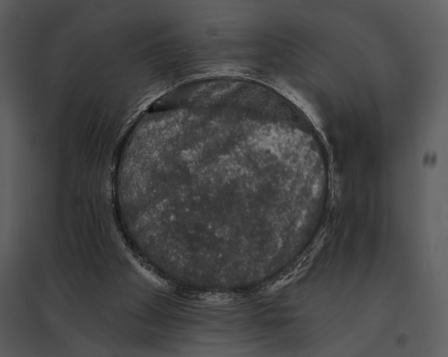 X0000095510105200801041209