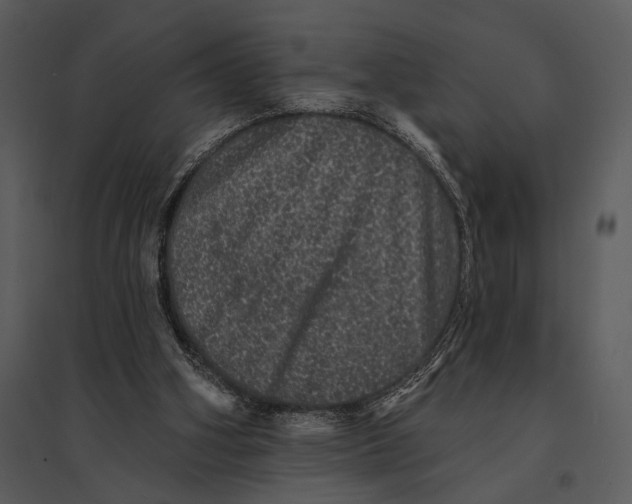 X0000095510106200801041209