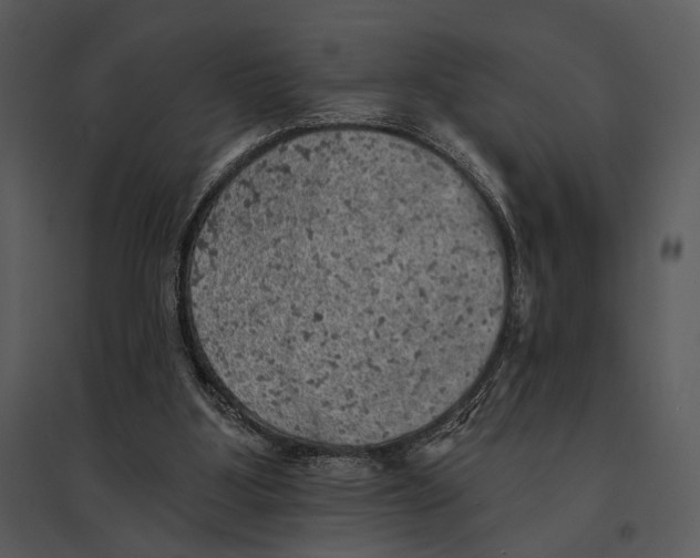 X0000095510107200801041209