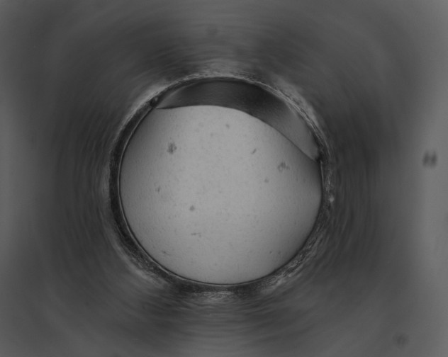 X0000095510108200801041209