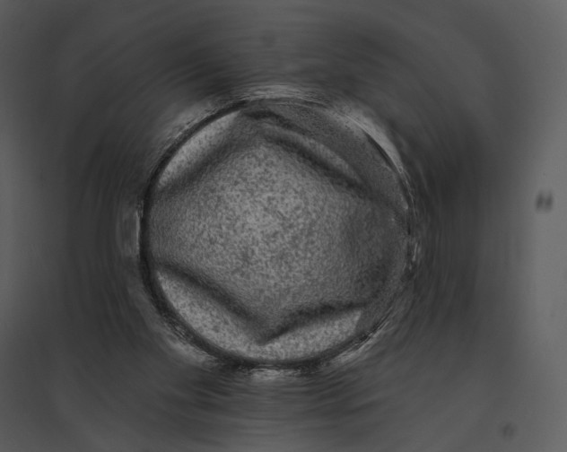 X0000095510109200801041209