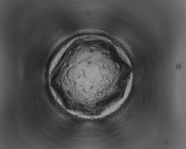 X0000095510111200801041209