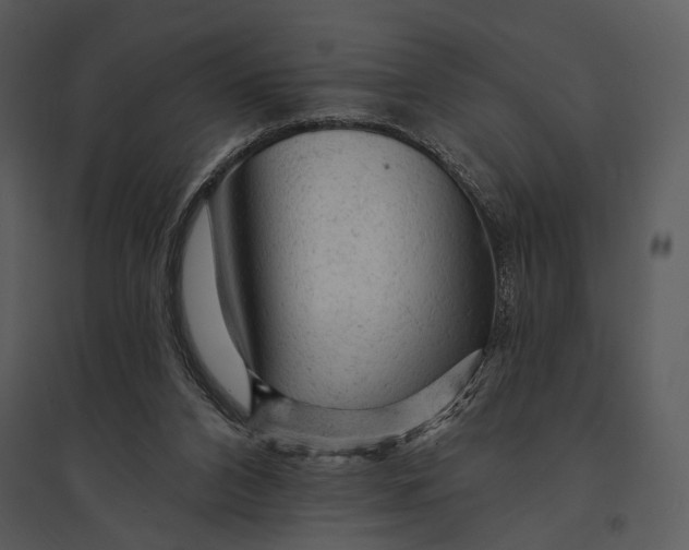 X0000095510112200801041209