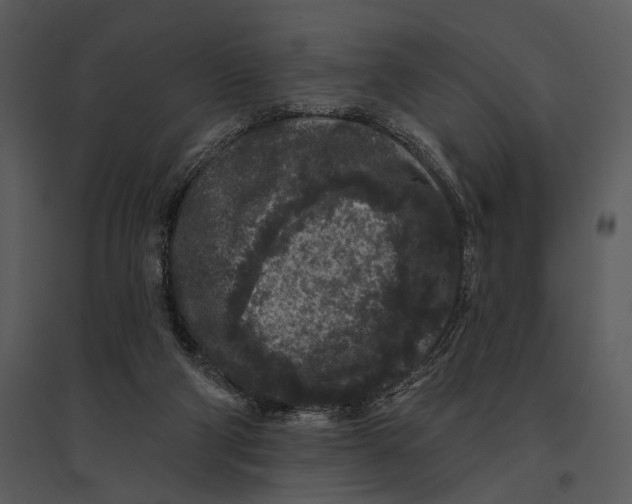 X0000095510114200801041209