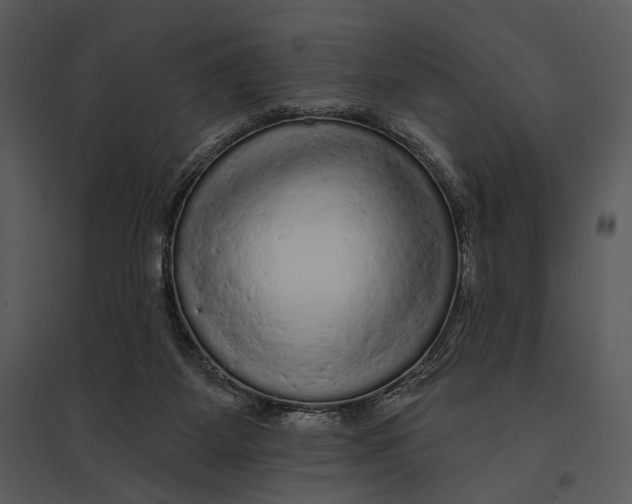 X0000095510115200801041209