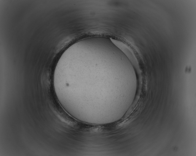 X0000095510116200801041209