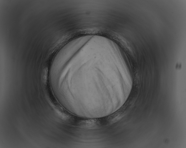 X0000095510118200801041209