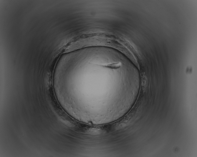 X0000095510119200801041209