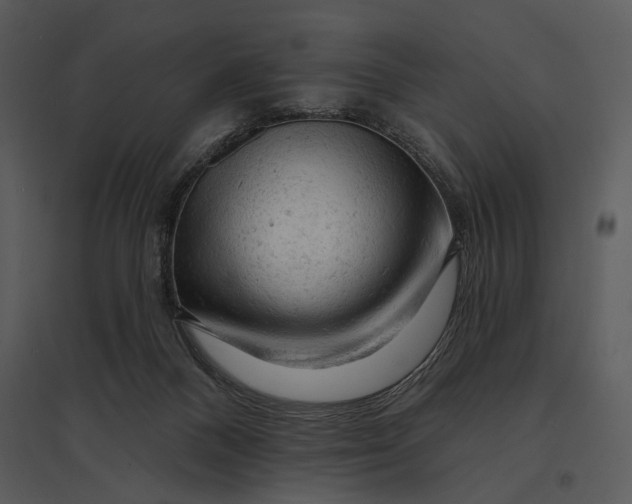 X0000095510120200801041209