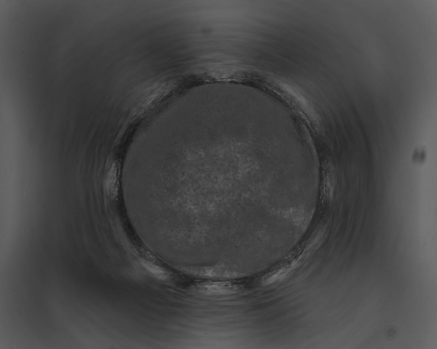 X0000095510121200801041209