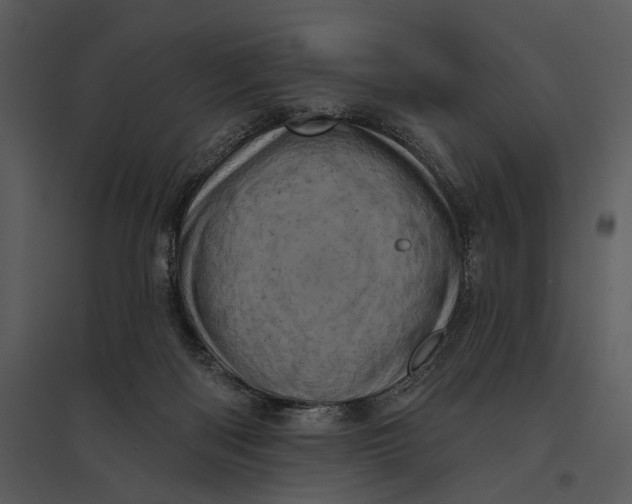 X0000095510122200801041209