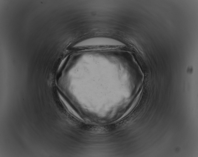 X0000095510123200801041209