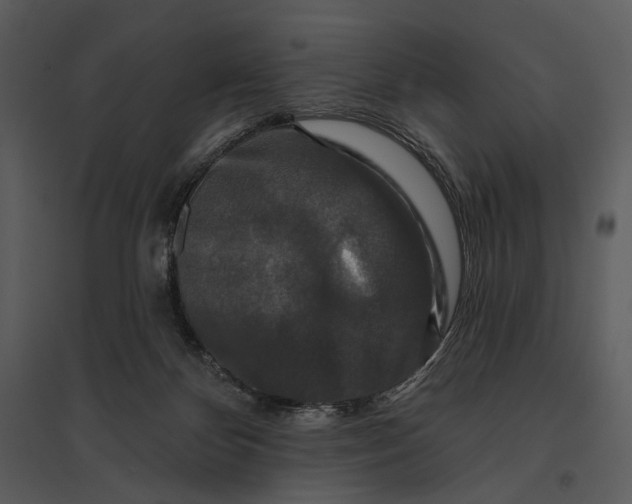 X0000095510124200801041209