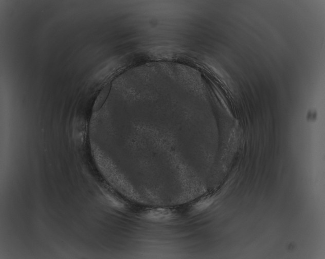 X0000095510125200801041209