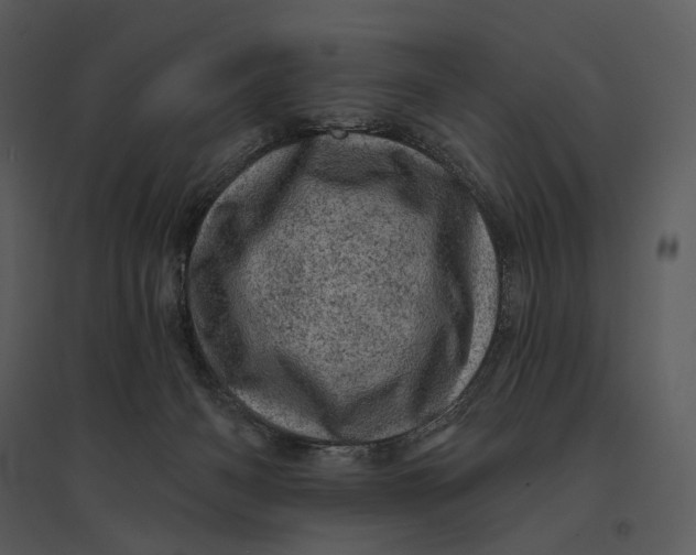 X0000095510126200801041209