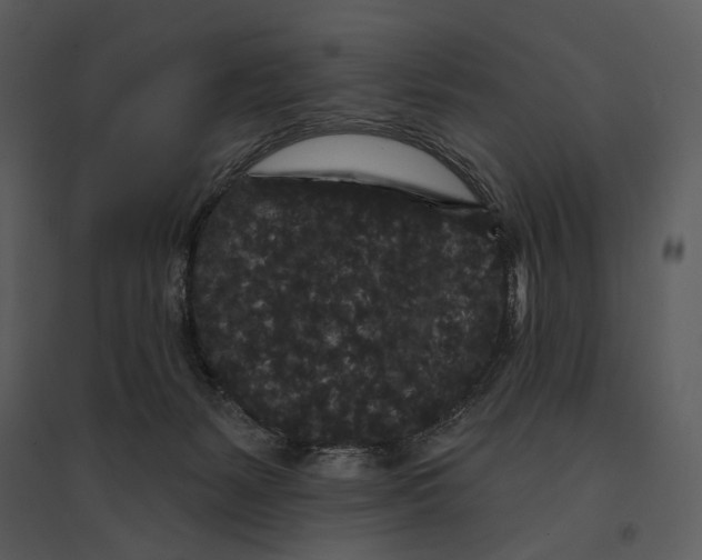 X0000095510127200801041209