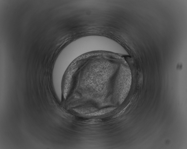 X0000095510128200801041209