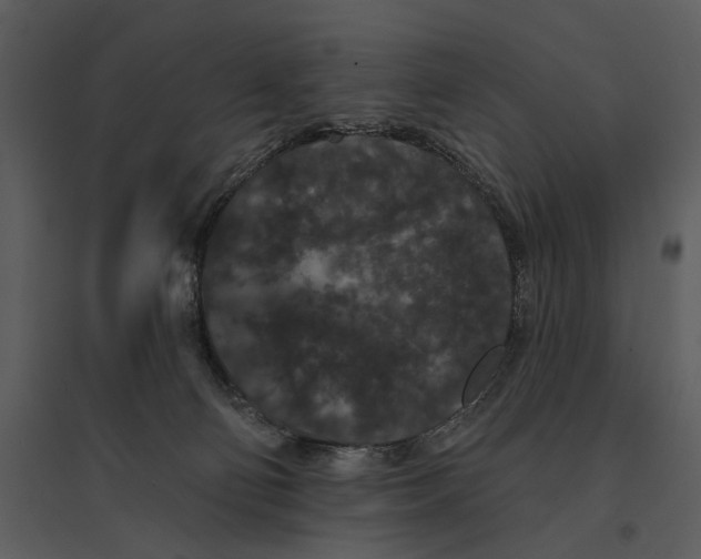 X0000095510130200801041209